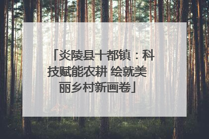 炎陵县十都镇：科技赋能农耕 绘就美丽乡村新画卷