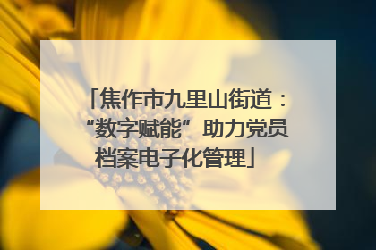 焦作市九里山街道：“数字赋能”助力党员档案电子化管理