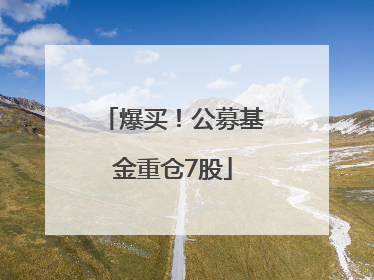 爆买！公募基金重仓7股