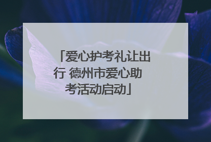 爱心护考礼让出行 德州市爱心助考活动启动