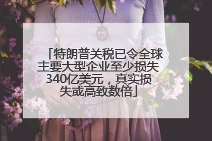 特朗普关税已令全球主要大型企业至少损失340亿美元，真实损失或高致数倍