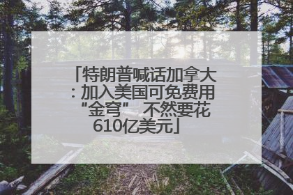 特朗普喊话加拿大：加入美国可免费用“金穹” 不然要花610亿美元