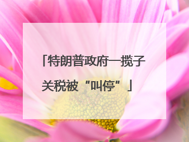 特朗普政府一揽子关税被“叫停”