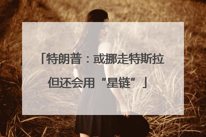 特朗普：或挪走特斯拉 但还会用“星链”