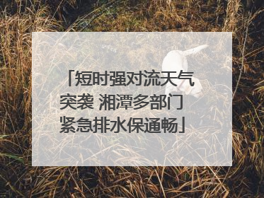 短时强对流天气突袭 湘潭多部门紧急排水保通畅