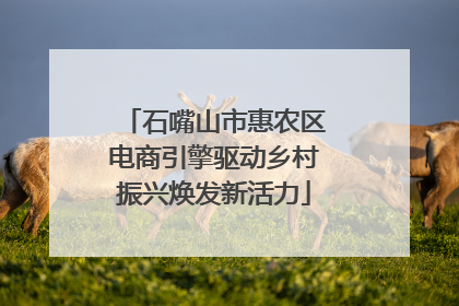 石嘴山市惠农区电商引擎驱动乡村振兴焕发新活力