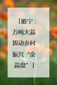 睢宁：万吨大蒜拨动乡村振兴“金蒜盘”