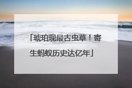 琥珀现最古虫草！寄生蚂蚁历史达亿年