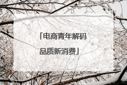 电商青年解码品质新消费