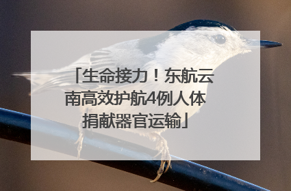 生命接力！东航云南高效护航4例人体捐献器官运输