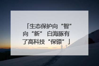 生态保护向“智”向“新” 白海豚有了高科技“保镖”
