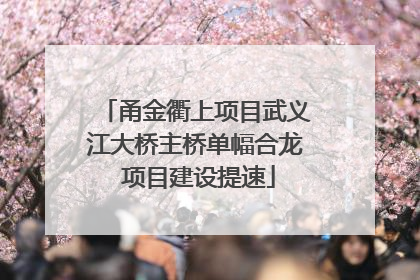甬金衢上项目武义江大桥主桥单幅合龙 项目建设提速