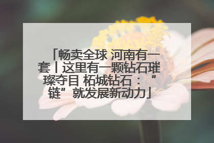 畅卖全球 河南有一套丨这里有一颗钻石璀璨夺目 柘城钻石：“链”就发展新动力