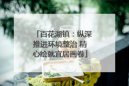 百花湖镇：纵深推进环境整治 精心绘就宜居画卷