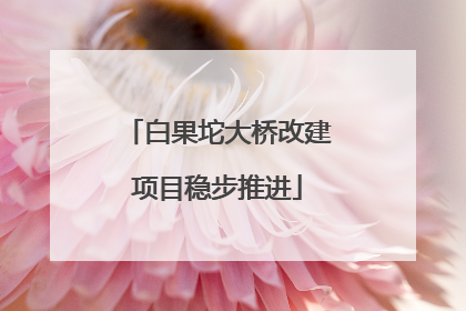 白果坨大桥改建项目稳步推进