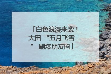 白色浪漫来袭！大田 “五月飞雪” 刷爆朋友圈