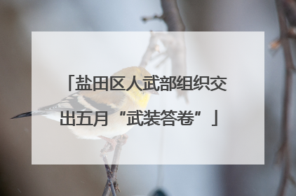 盐田区人武部组织交出五月“武装答卷”