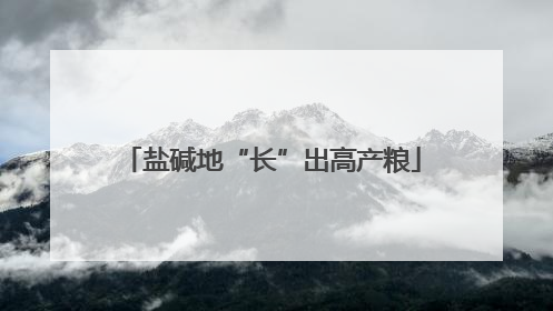 盐碱地“长”出高产粮