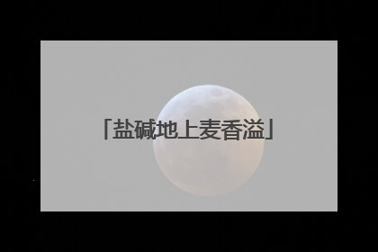 盐碱地上麦香溢
