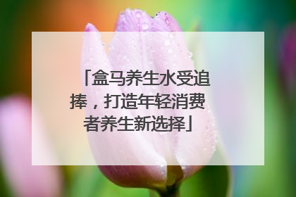 盒马养生水受追捧，打造年轻消费者养生新选择