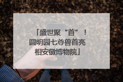 盛世聚“首”！圆明园七尊兽首亮相安徽博物院