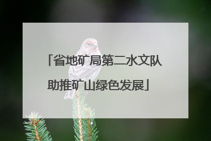 省地矿局第二水文队助推矿山绿色发展