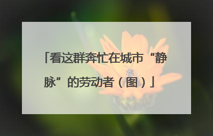 看这群奔忙在城市“静脉”的劳动者（图）