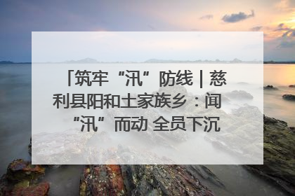 筑牢“汛”防线｜慈利县阳和土家族乡：闻“汛”而动 全员下沉筑牢防汛“安全堤”