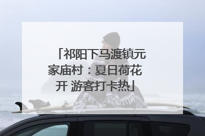 祁阳下马渡镇元家庙村：夏日荷花开 游客打卡热