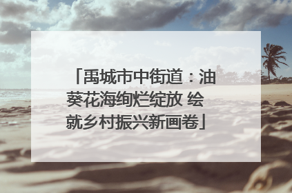 禹城市中街道：油葵花海绚烂绽放 绘就乡村振兴新画卷