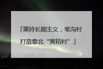秉持长期主义，苇沟村打造泰北“黄精村”