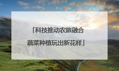 科技推动农旅融合 蔬菜种植玩出新花样