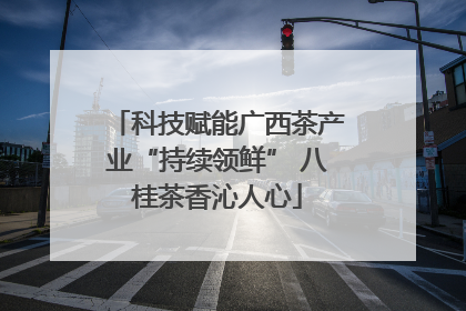 科技赋能广西茶产业“持续领鲜” 八桂茶香沁人心