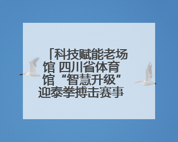科技赋能老场馆 四川省体育馆“智慧升级”迎泰拳搏击赛事丨探馆世运