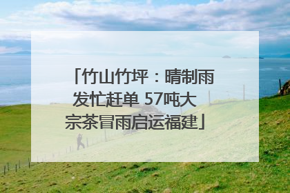 竹山竹坪：晴制雨发忙赶单 57吨大宗茶冒雨启运福建