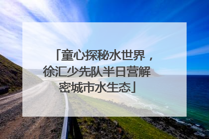 童心探秘水世界，徐汇少先队半日营解密城市水生态