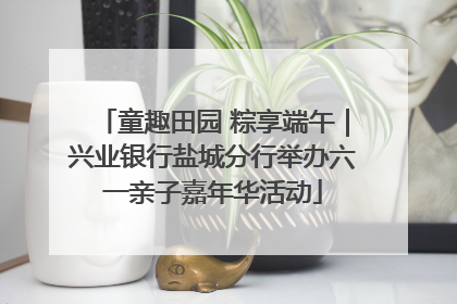 童趣田园 粽享端午｜兴业银行盐城分行举办六一亲子嘉年华活动