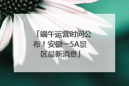 端午运营时间公布！安徽一5A景区最新消息