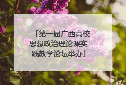 第一届广西高校思想政治理论课实践教学论坛举办