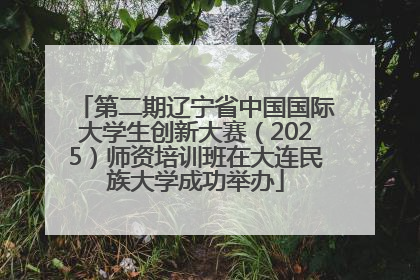 第二期辽宁省中国国际大学生创新大赛（2025）师资培训班在大连民族大学成功举办