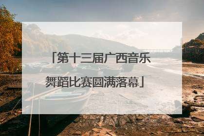 第十三届广西音乐舞蹈比赛圆满落幕