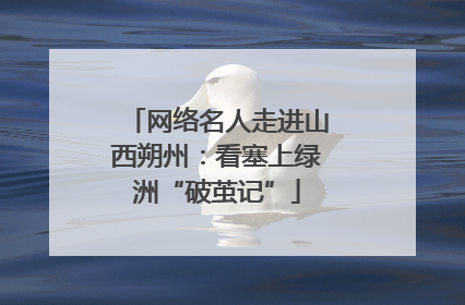 网络名人走进山西朔州：看塞上绿洲“破茧记”