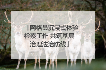 网格员沉浸式体验检察工作 共筑基层治理法治防线