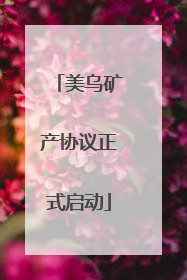 美乌矿产协议正式启动