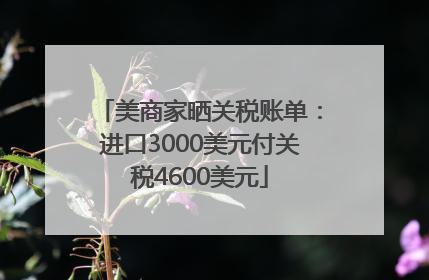 美商家晒关税账单：进口3000美元付关税4600美元