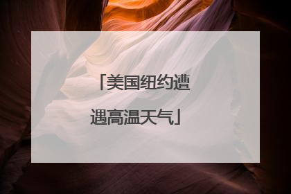 美国纽约遭遇高温天气