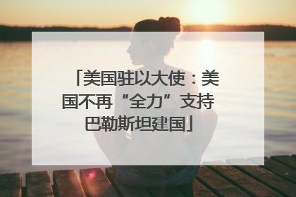 美国驻以大使：美国不再“全力”支持巴勒斯坦建国