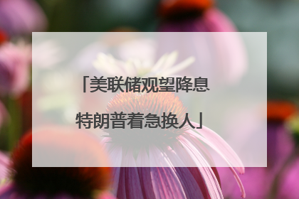 美联储观望降息 特朗普着急换人