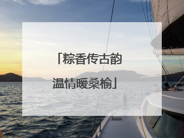 粽香传古韵 温情暖桑榆