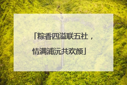 粽香四溢联五社，情满浦沅共欢颜